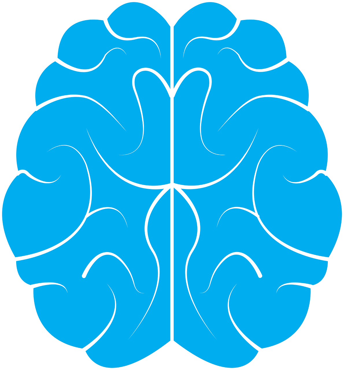 brain-1710293_1280