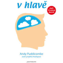 Recenze knihy: Ukliďte si v hlavě – Andy Puddicombe