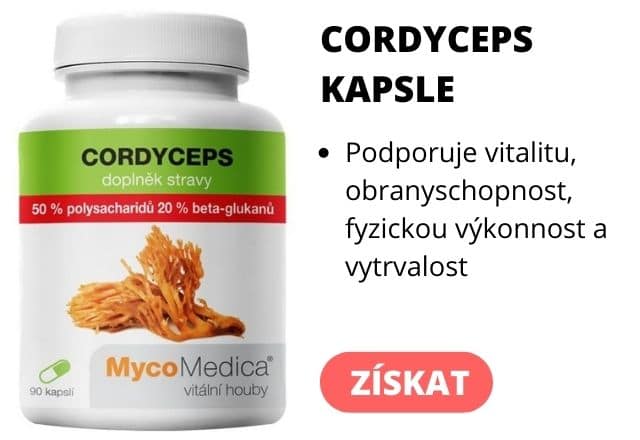 Cordyceps doplněk stravy