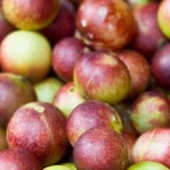 8 benefitů camu camu: Superpotravina nebo blamáž?